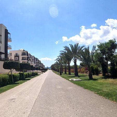 Great Seaview Appartments In Thalassa Vokolidha Exterior foto