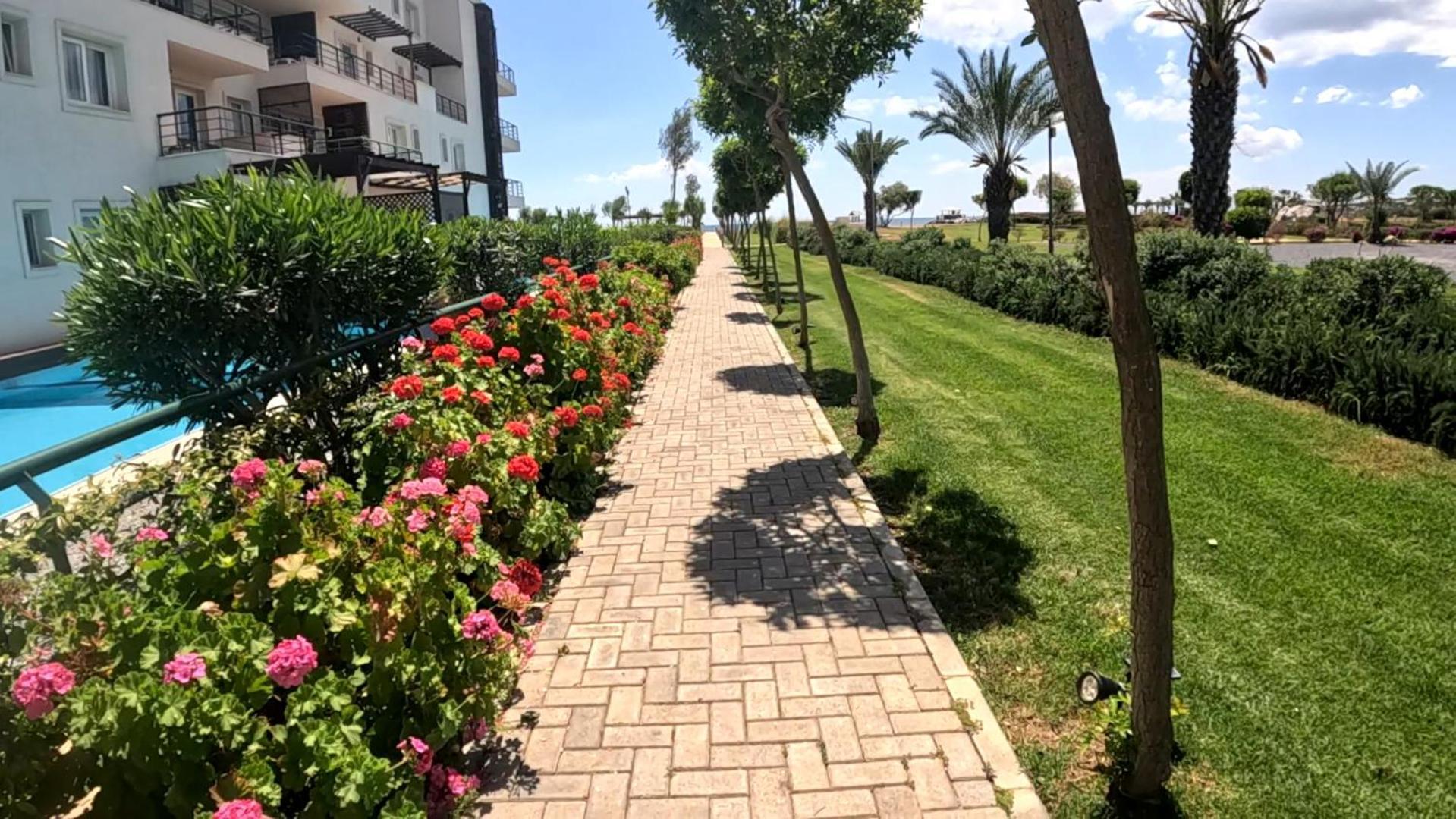 Great Seaview Appartments In Thalassa Vokolidha Exterior foto